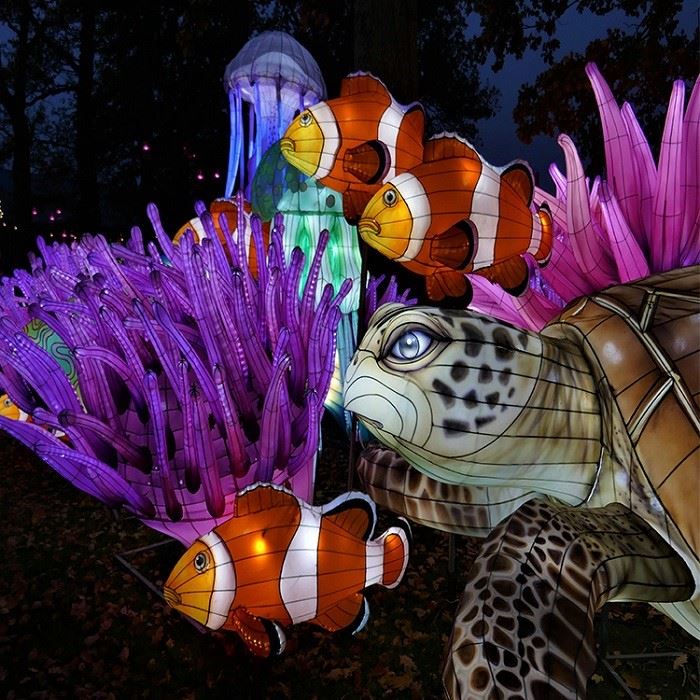 Event Lantern Festival